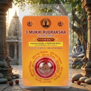 Premium 3 Mukhi (Three Face) Rudraksha – Authentic & Energized